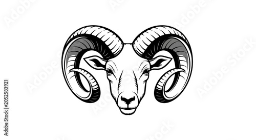 Bild auf Leinwand Black and white ram head.
