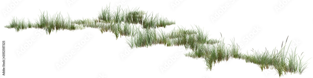 Fototapeta premium grass isolated /Ultra-sharp isolated grass border with lush green vegetation and realistic natural texture. High-resolution meadow grass element, ideal for landscaping, environmental designs