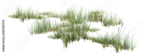 Foto grass on white background/High-resolution isolated green grass clumps element