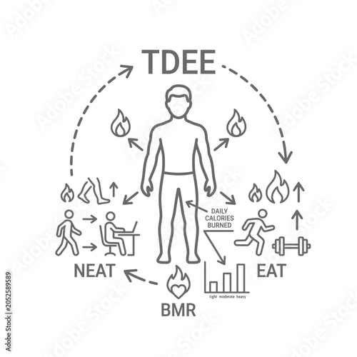 Person Calculating Daily Energy Expenditure.