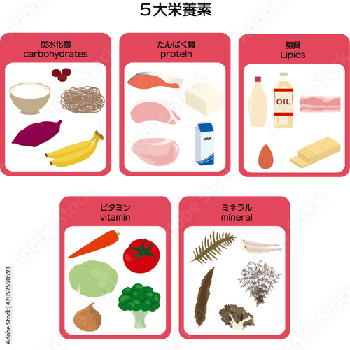 ５大栄養素のイラストセット