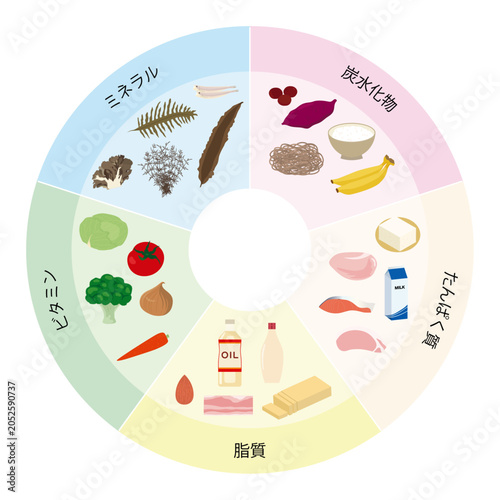 ５大栄養素のイラストセット