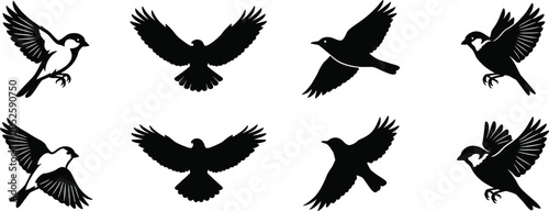 Foto Vector collection of eight flying bird silhouettes including eagle hawk and smal