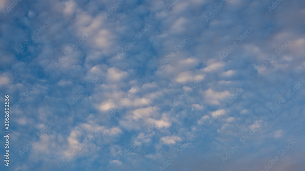 Fototapeta premium Blue Sky With White Clouds