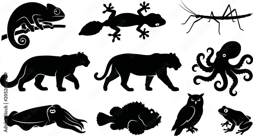 Fototapeta premium Black silhouettes of various animals on white background chameleon lizard mantis