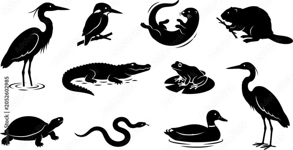 Fototapeta premium Black silhouettes of various animals on white background birds reptiles amphibians