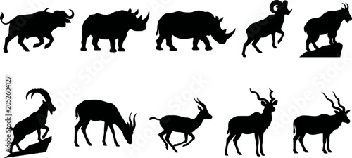 Photography Black silhouettes of various wild animals on white background  rhinoceros and an