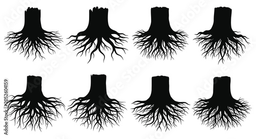 Bild auf Leinwand Tree Stump Silhouettes With Root Systems Black On White Background