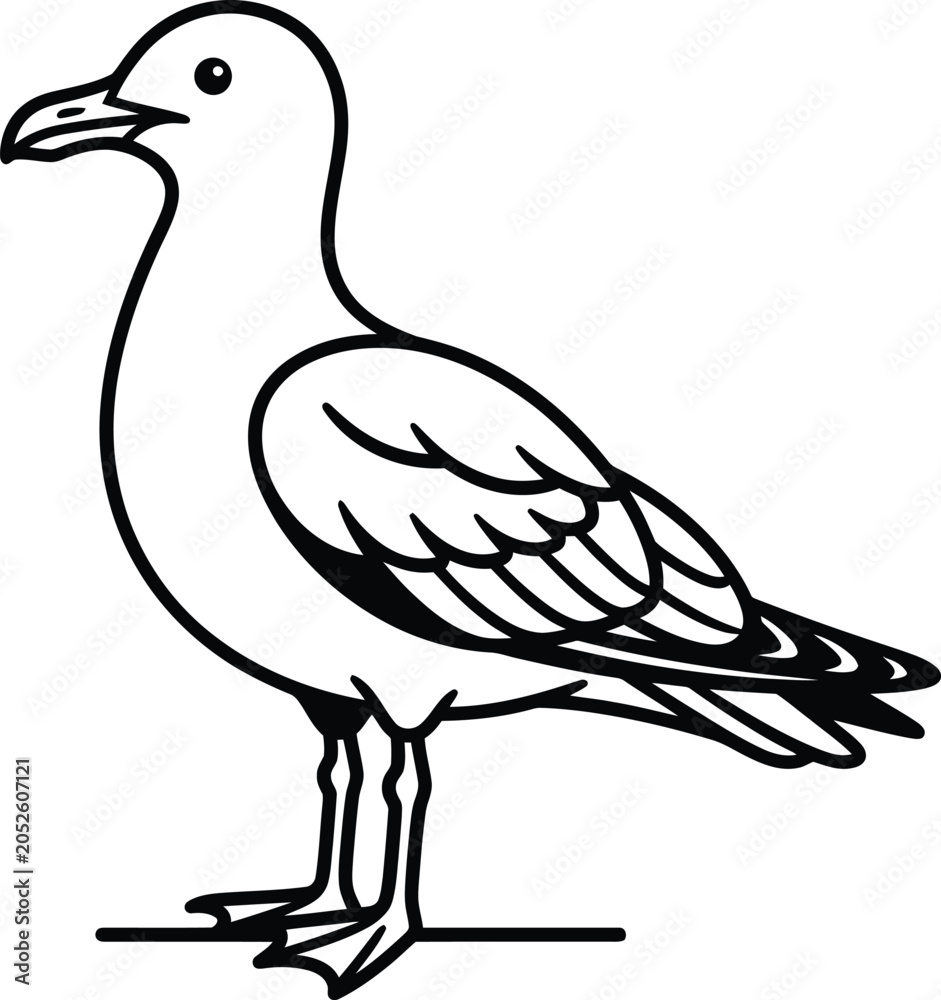 Obraz premium Seagull bird outline illustration with illustration, wildlife