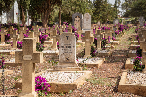 Bild auf Leinwand War burial section at the Italian Cemetery in Asmara, Eritrea