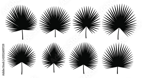 Photos Palm leaf silhouettes black and white botanical shapes on white background