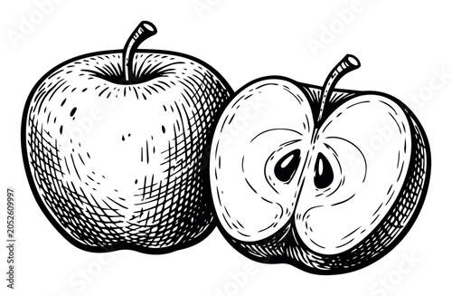 Apple and slice showing seeds, drawn in an antique woodcut or etching style, representing healthy food and agriculture