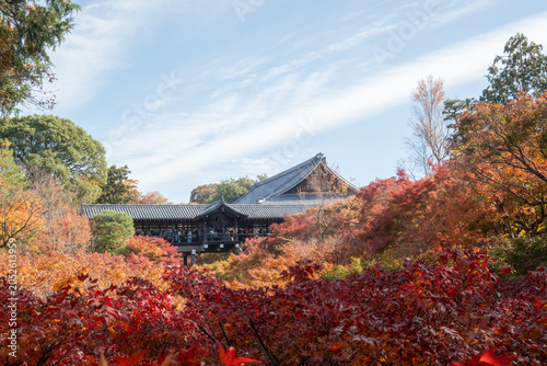 紅葉に包まれる秋の京都、カラフルな色が美しい