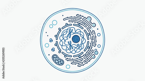 Foto Detailed illustration of a eukaryotic animal cell structure.