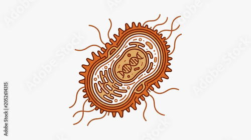 Konstfotografi Illustration of a single bacterium cell with flagella and DNA.