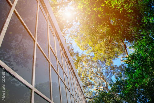 Obraz na plátně Eco-friendly architecture concept with glass office building facade surrounded by lush green forest