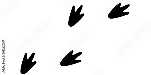 Photography Black Duck Footprints Track Isolated on White Background