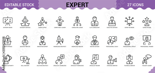Expert professional icons set for advisory board services consulting leader and business training.