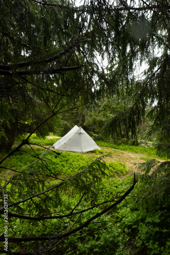 White Tent in a Lush Green Forest in the hiking in the mountains, Carpathian mountain,  pyramid tent, travel, camping and hiking with tents, equipment