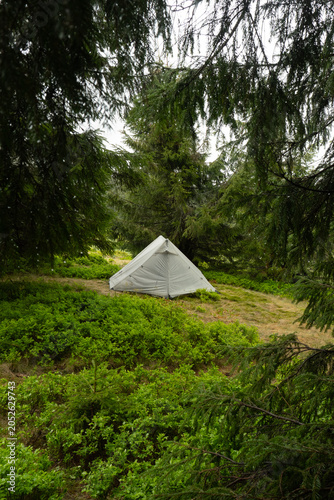 White Tent in a Lush Green Forest in the hiking in the mountains, Carpathian mountain,  pyramid tent, travel, camping and hiking with tents, equipment