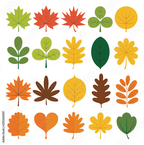 A collection of colorful autumn leaves in various shapes and sizes isolated on a white background for seasonal projects