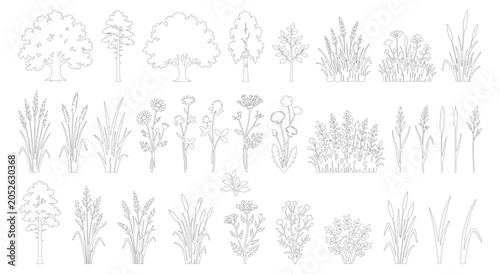 Minimalist line art nature collection, hand drawn botanical tree and plant sketches, 30 thin stroke floral elements for landscape design