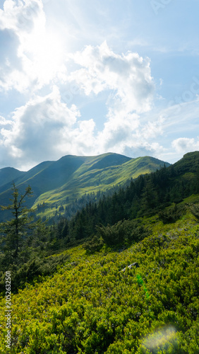 Green Mountain Landscape with Cloudy Sky, Pishkonya mountain range, Carpathians, mountain peak, fog, green silhouettes