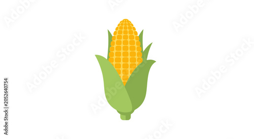Illustration of a Freshly Picked Ear of Corn, Isolated on a Pure White Background