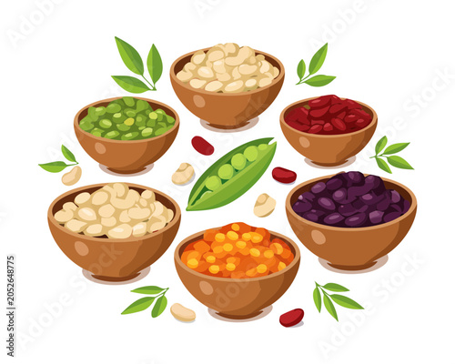 Assorted healthy organic legumes collection including various bowls of lentils green peas chickpeas kidney beans and nutritious pulses for cooking - Vector Illustration