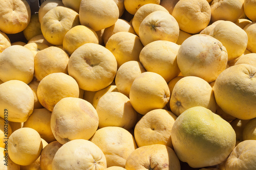 Fresh Harvested Oranges Background In California Farm