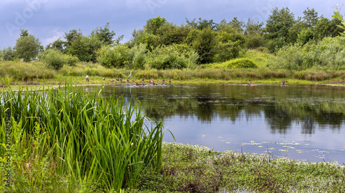 Molenplas protected area near Stevensweert, part of the Maas valley river park on the Netherlands Belgium border, designed for water storage and nature restoration