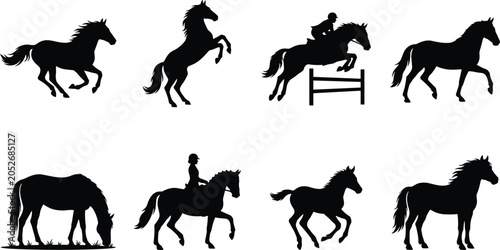 Collection of horse black silhouettes including running jumping rearing grazing and equestrians riding isolated on white background