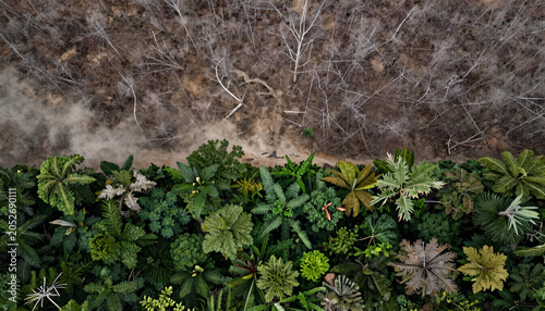 Aerial View of Deforestation and Vibrant Rainforest: Climate Change Impact