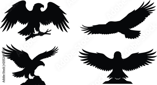 Schilderij op canvas Eagle silhouette collection featuring majestic wild birds of prey flying perched