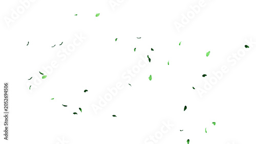 Canvas Print Fluttering green leaves 3d, fluttering leaves white background, fluttering green