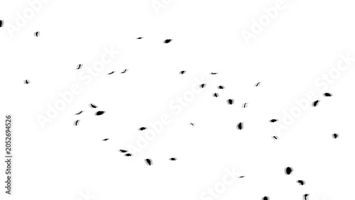 Foto Fluttering leaves, fluttering leaves white background, fluttering leaf effect, f