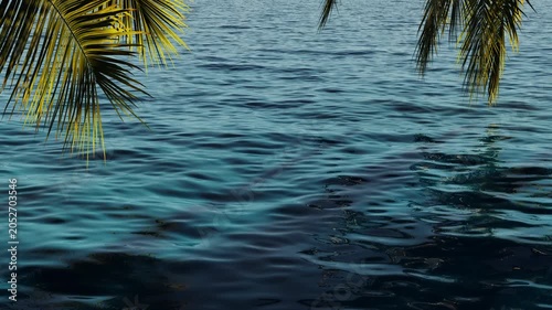 
3d render the branches of a tropical palm tree arch over the surface of the sea, swaying in the wind above the waves.
