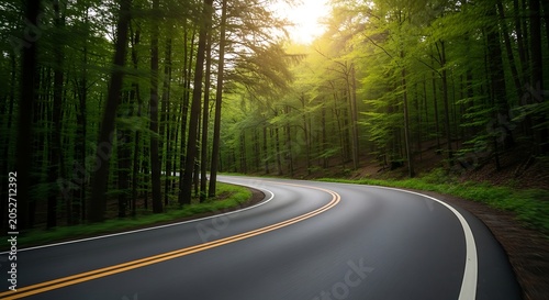 A scenic, winding asphalt road curves through a lush, vibrant green forest during a bright, sunny day with soft sunlight filtering through the dense canopy of trees