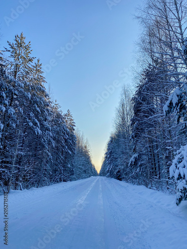 Snowy road through winter forest with blue sky, vertical