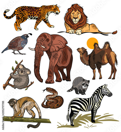 Canvas Print Huge sticker sheet of hand drawn safari animal illustrations  in isolated vector