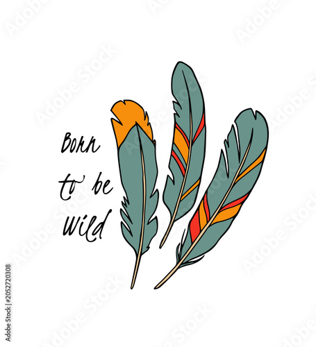 Vector card with hand drawn set of patterned feathers. Beautiful ethnic design elements, ink drawing. Perfect for inspiration posters