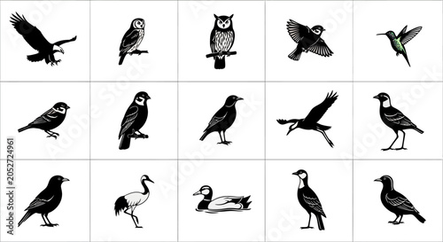 Photography Collection of black and white bird silhouettes featuring various species perched
