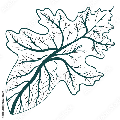 Foto Elegant line art drawing of a complex textured plant leaf showing detailed organ