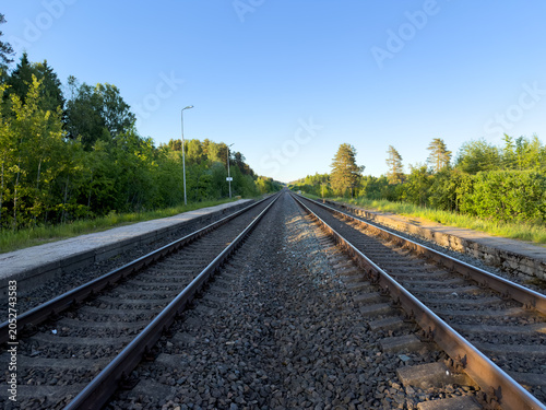 Straight railway tracks stretching into the distance through a lush green forest under a clear blue sky, low angle view.