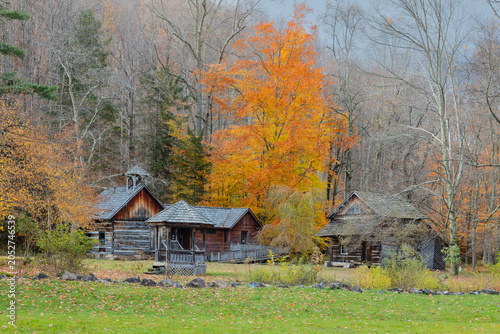 Log cabins and wooden structures in an autumn woodland