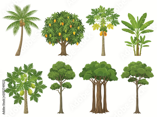 Collection of detailed tropical trees and fruit bearing plants presented as a high quality vector graphic set for nature projects and digital landscape design visual concepts
