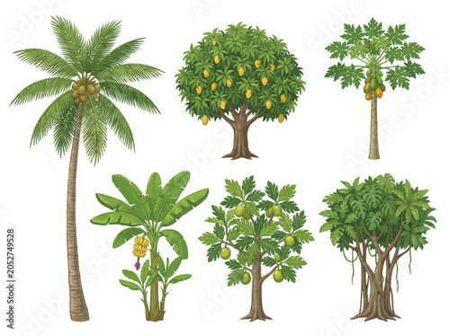 Detailed vector illustration showcasing a variety of exotic tropical fruit trees including palm mango papaya banana and banyan designs for professional graphic design project usage purposes