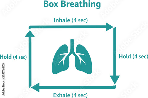 Box breathing exercise with lungs and arrows