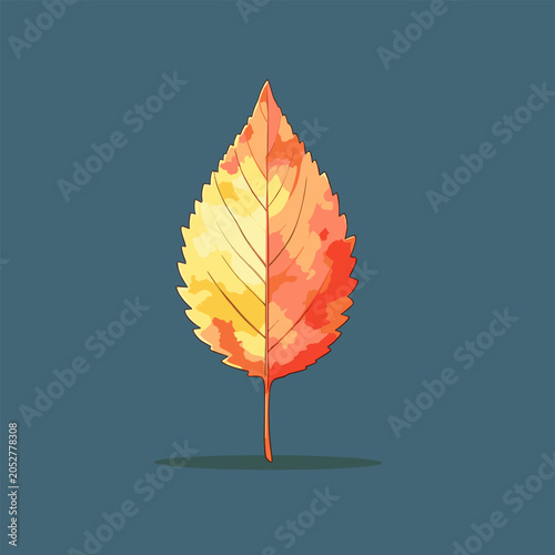 Colorful autumn leaf with yellow and orange tones