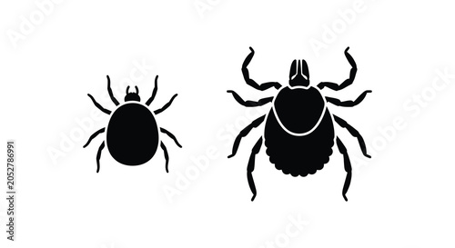 Foto Two black tick silhouettes with eight legs against a white background silhouette